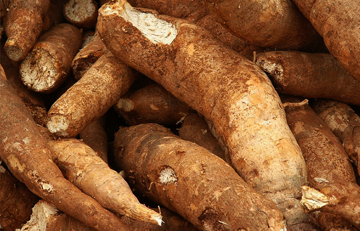 Cassava starch processing machine