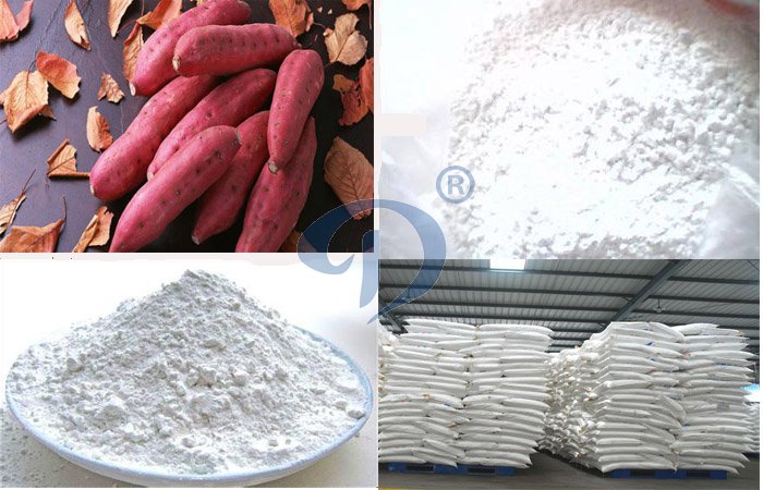 What is the capacity of sweet potato production line ?