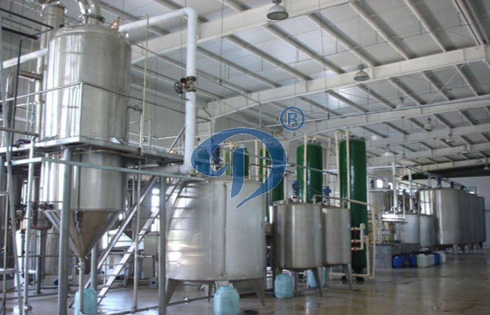 How to begin a glucose syrup processing business plan?