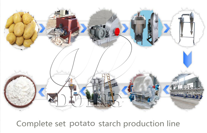  Doing team visit potato starch production line machine running