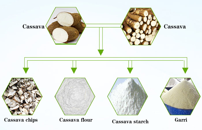 Cassava processing plant