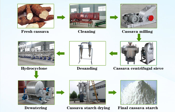 What is the process during cassava starch production line?