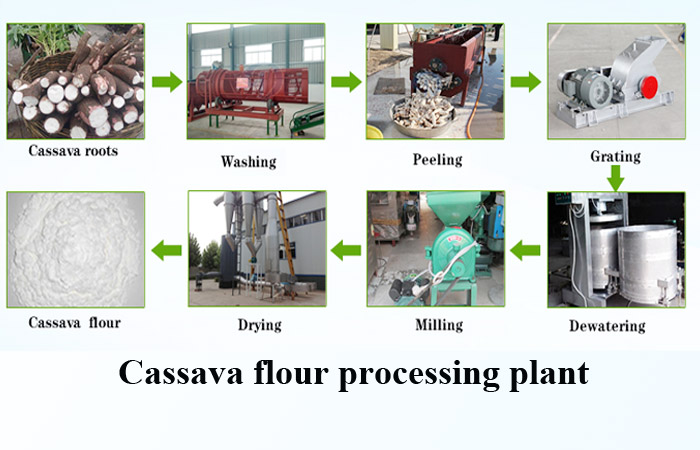 cassava flour processing plant.