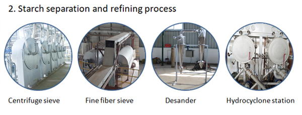 potato starch production process