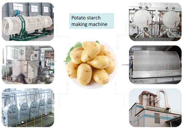 potato starch production machine