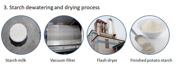 cassava starch production process