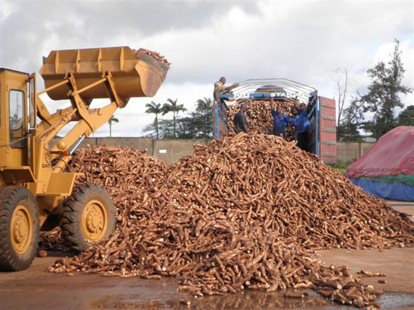 cassava starch machine