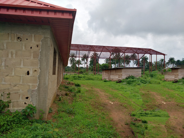 Small scale cassava starch processing plant