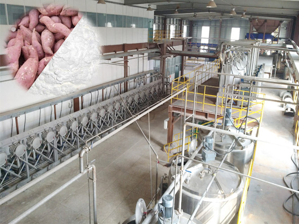 Sweet potato starch processing plant