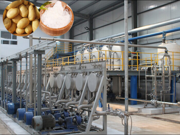 Potato starch production line