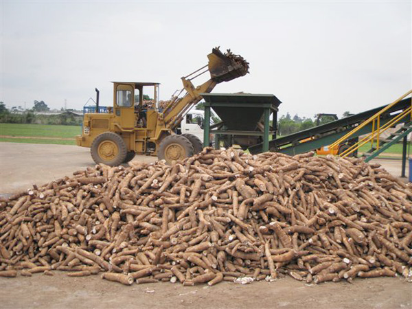 cassava processing machine