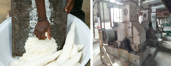 potato starch processing equipment