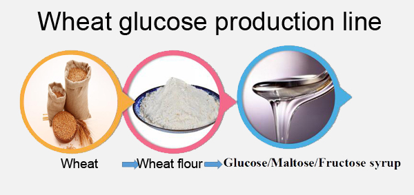 wheat glucose production line