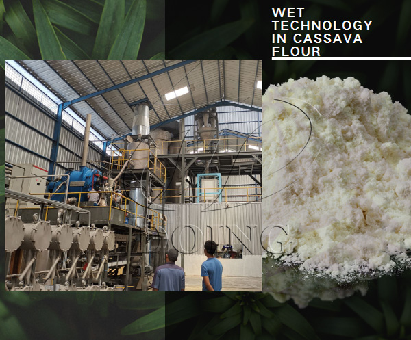 cassava flour processing technology