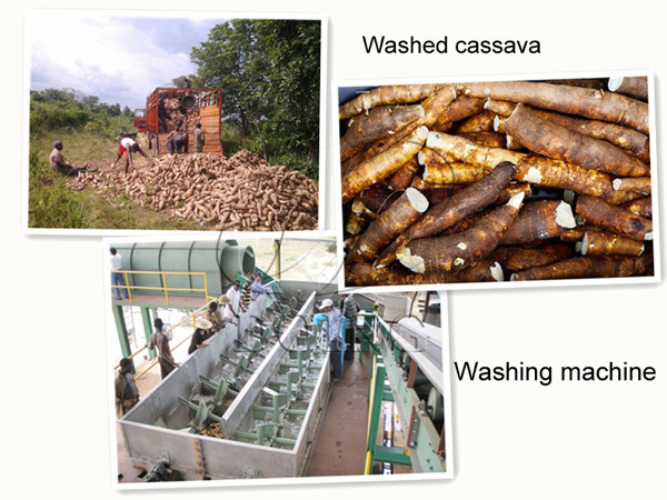 cassava washing machine