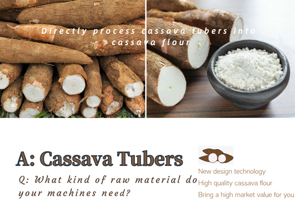 Most asked questions about cassava flour processing machine