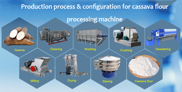 Most asked questions about cassava flour processing machine