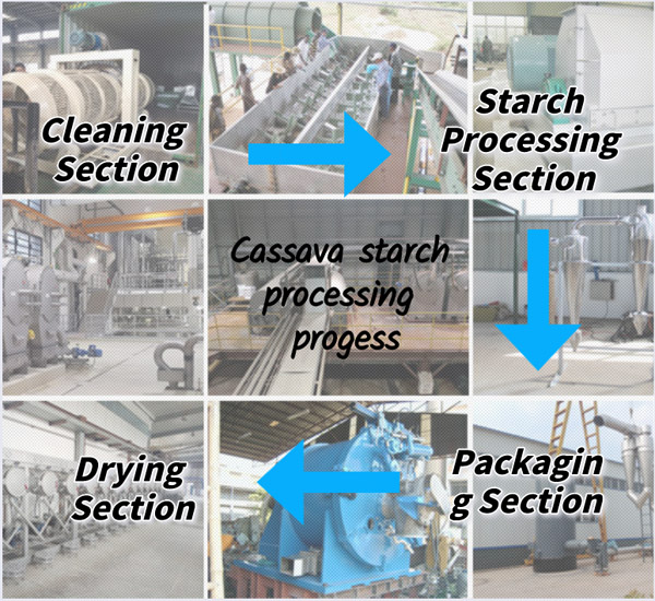 cassava starch processing plant