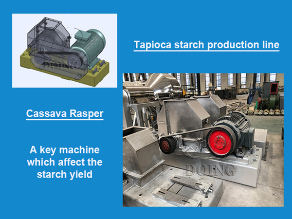 The introduction of the Rasper machine for producing flour and starch