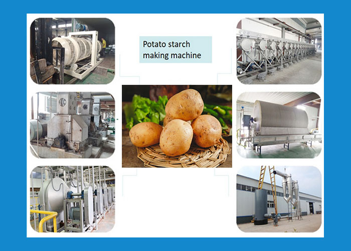 potato starch production line