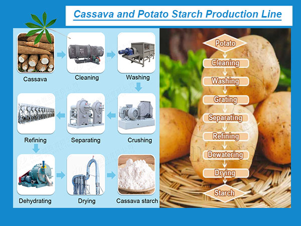 Comparison of Cassava and Potato Starch Production Lines