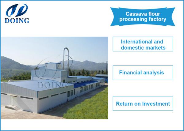 Preliminary Preparations for Opening Cassava Flour Processing Plant in 2025