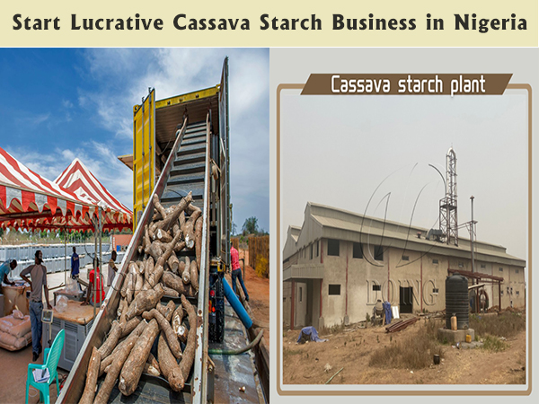 Unlocking Nigeria's Potential: Starting a Lucrative Cassava Starch Business
