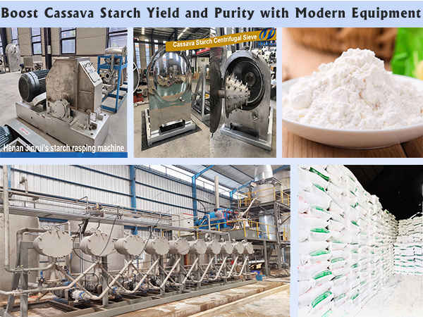 Boost Cassava Starch Yield and Purity with Innovative Processing Technologies
