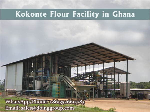 Ghana kokonte flour processing facility layout and prices