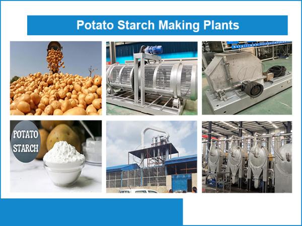 Small Scale vs Industrial Potato Starch Equipment: How to Choose?