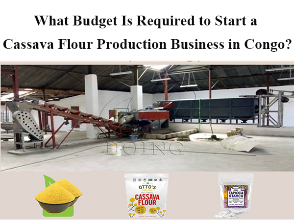 What Budget Is Required to Start a Cassava Flour Production Business in Congo?