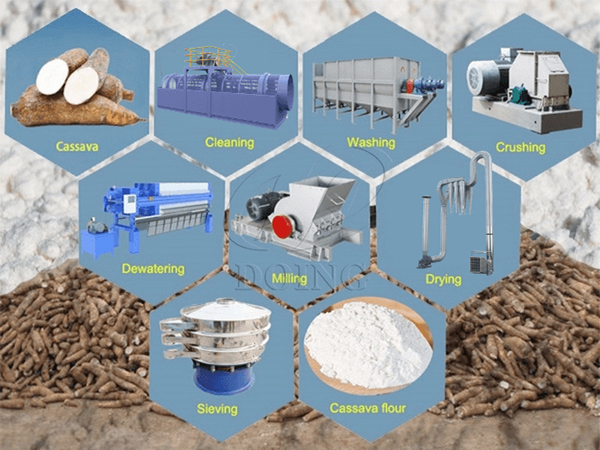 Why Is the HQCF (High Quality Cassava Flour) Processing Business So Popular in Nigeria?