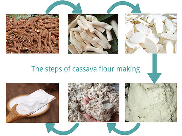 From Fresh Cassava to Cassava Flour: A Complete Dry Process