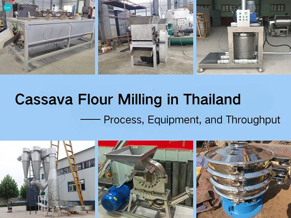 Cassava Flour Milling in Thailand: Process, Equipment, and Throughput