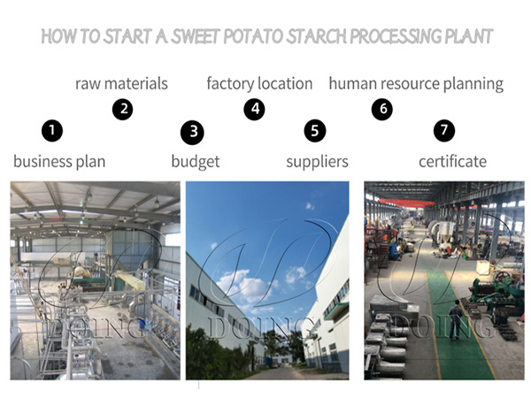 How to start a sweet potato starch processing plant?