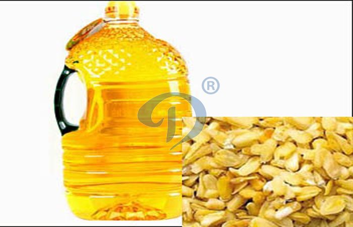 Corn germ oil