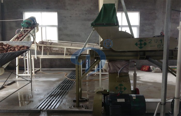 cassava starch production process