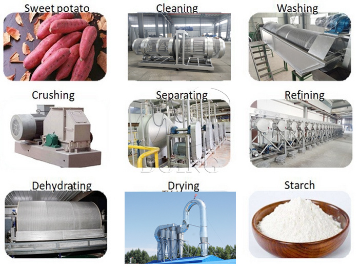 sweet potato starch processing equipment