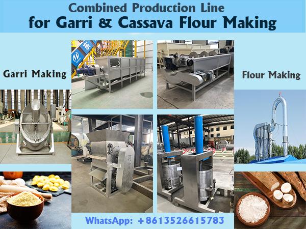 Henan Jinrui Secures 2-in-1 Processing Line Project for Garri and Cassava Flour Production in Gabon Henan Jinrui Secures 2-in-1 Processing Line Project for Garri and Cassava Flour Production in Gabon